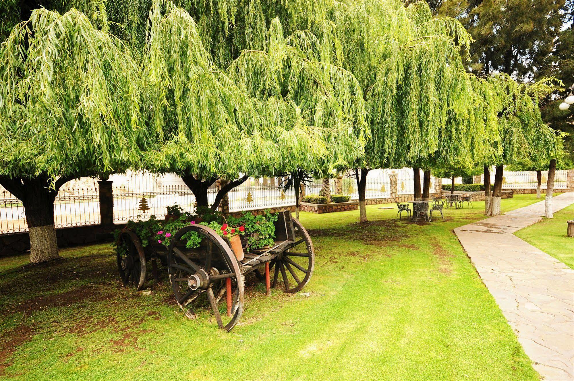 Hotel & Spa Hacienda Baruk 사카테카스 외부 사진